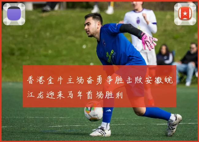 香港金牛主场奋勇争胜击败安徽皖江龙迎来马年首场胜利
