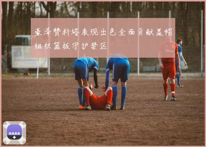 豪泽赞科塔表现出色全面贡献盖帽组织篮板守护禁区